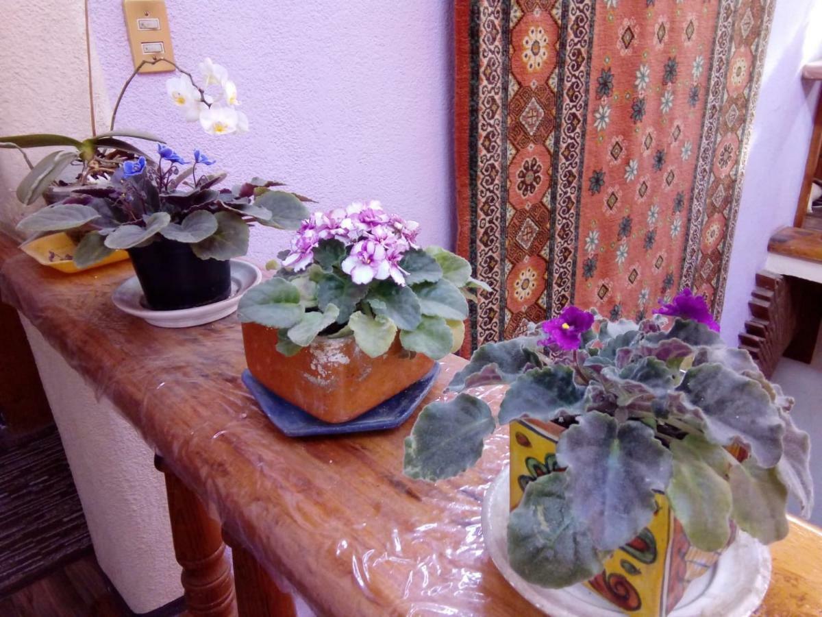 Casa Paanoramica Apartment บาเญเดบราโว ภายนอก รูปภาพ